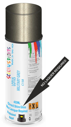 paint for LOTUS 