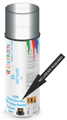 paint for Kia Carnival
