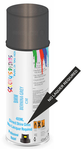 paint for Bmw X8