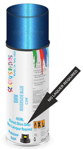 paint for Bmw X5