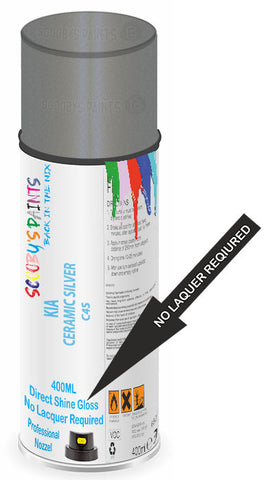 paint for Kia K9