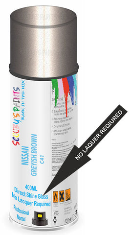 paint for Nissan March