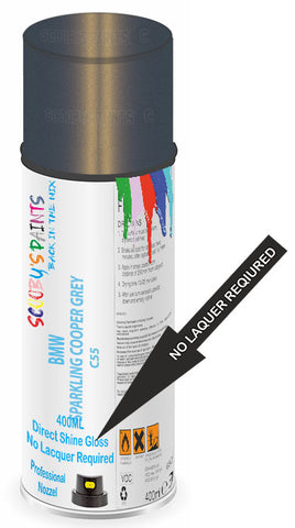 paint for Bmw X1
