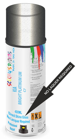 paint for Kia Sedona