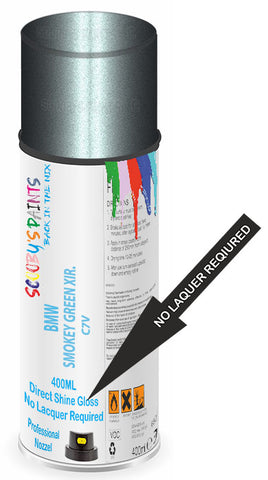 paint for BMW 