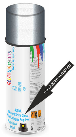 paint for Kia Carnival
