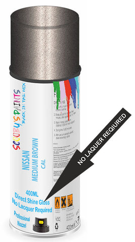 paint for Nissan Pathfinder