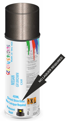 paint for Nissan Murano