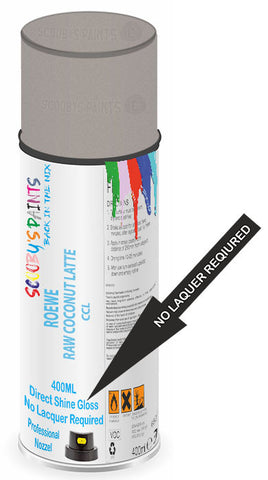 paint for ROEWE 