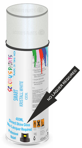 paint for Smart Fortwo