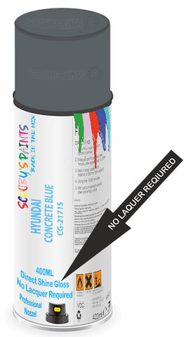 paint for HYUNDAI GRACE