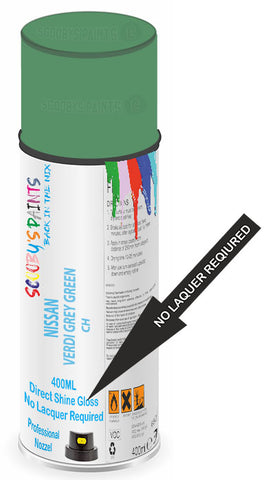 paint for NISSAN 