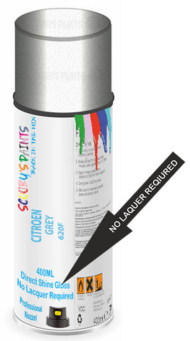 paint for Citroen Jumper