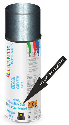 paint for Citroen C5X