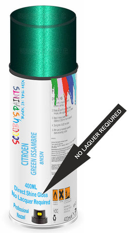 paint for CITROEN EVASION