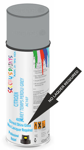 paint for Citroen Ami 6