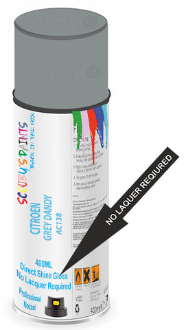 paint for Citroen Ami 6