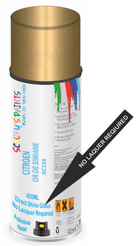 paint for Citroen Sm