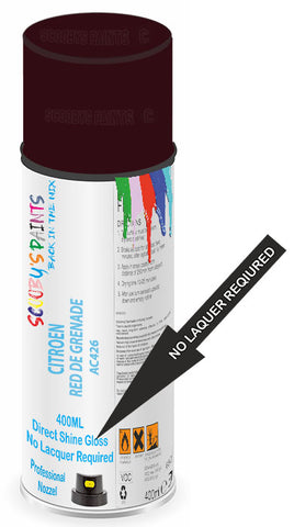 paint for Citroen Sm