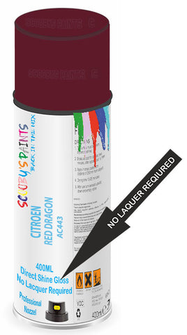paint for Citroen Cx