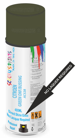 paint for Citroen H