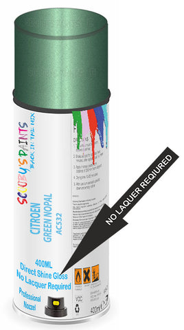 paint for Citroen Ami 8