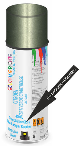 paint for Citroen Cx