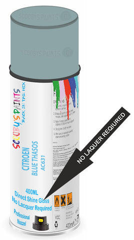 paint for Citroen 2Cv