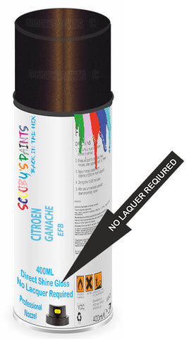 paint for Citroen C6