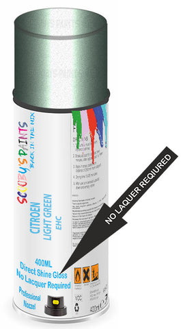 paint for CITROEN DS6
