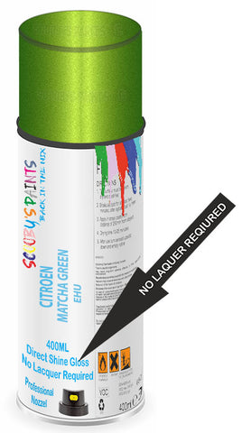 paint for Citroen Berlingo