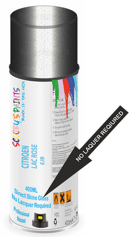 paint for Citroen Ax
