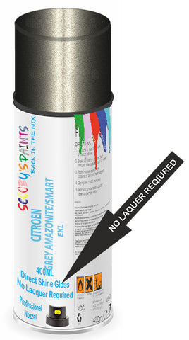 paint for Citroen C5X