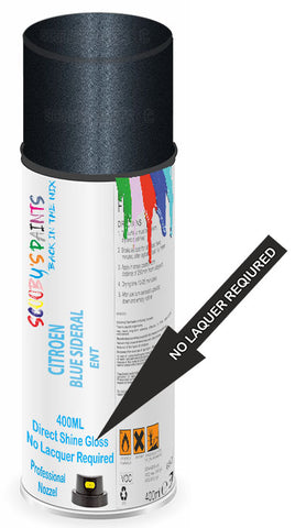 paint for Citroen Cx