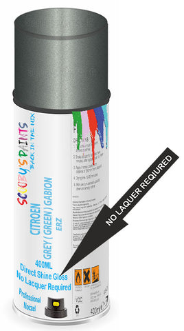 paint for Citroen Zx