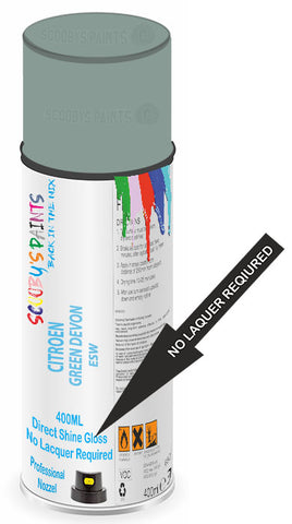 paint for Citroen Jumper