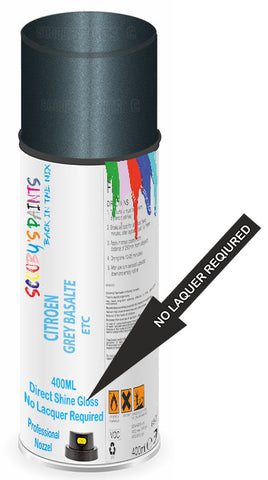 paint for Citroen Xm
