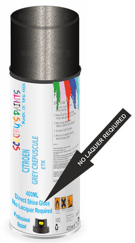 paint for Citroen Xm
