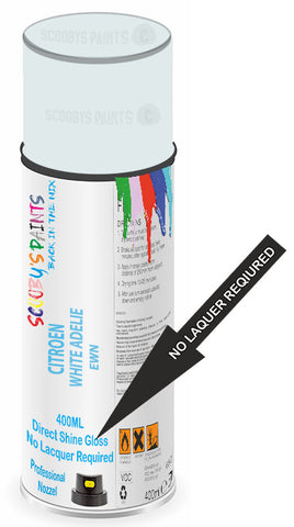 paint for Citroen Ax