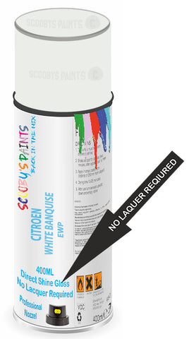 paint for Citroen C2