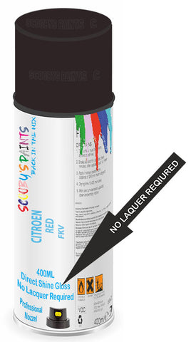 paint for Citroen Zx