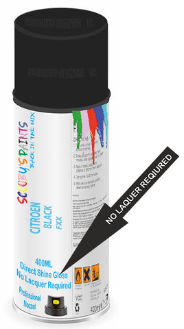paint for Citroen Visa