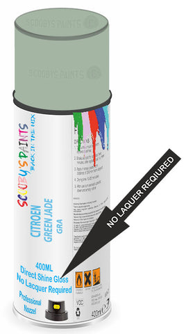paint for Citroen Gsa