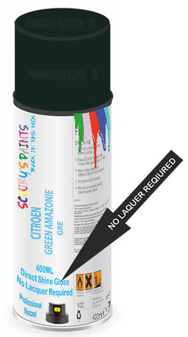 paint for Citroen Cx