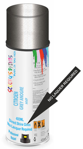 paint for CITROEN C5X