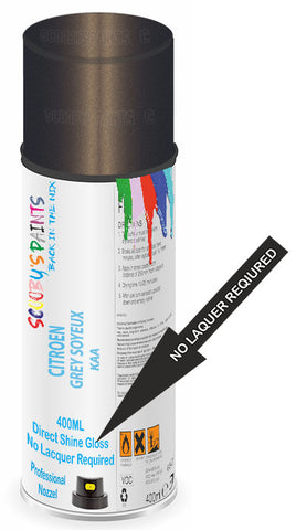 paint for Citroen Xsara