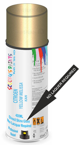 paint for Citroen C8