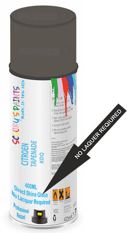 paint for Citroen C1