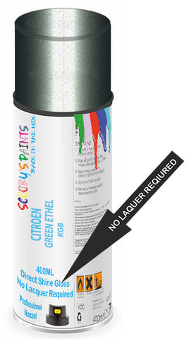 paint for Citroen C8