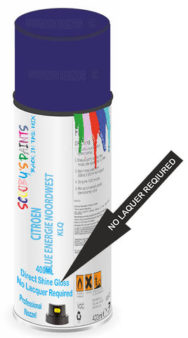 paint for CITROEN DS7